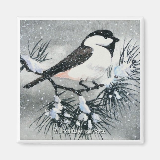 Imã Quadrado de Aves Chickadee de Casca Preta (Frente)