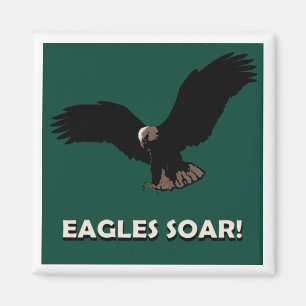 Imã Quadrado de Eagle do vôo