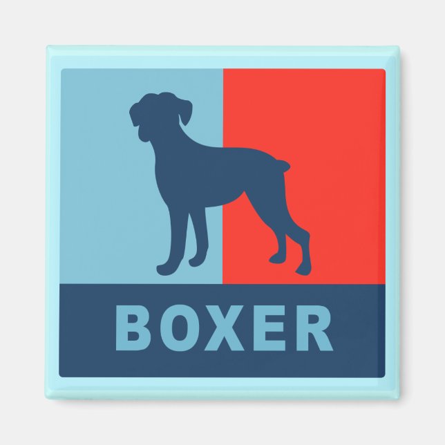 Imã Quadrado do ímã Boxer (Frente)