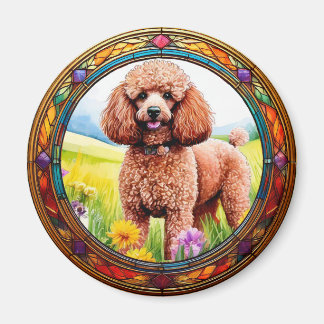 Imã Quadro para a sua imagem