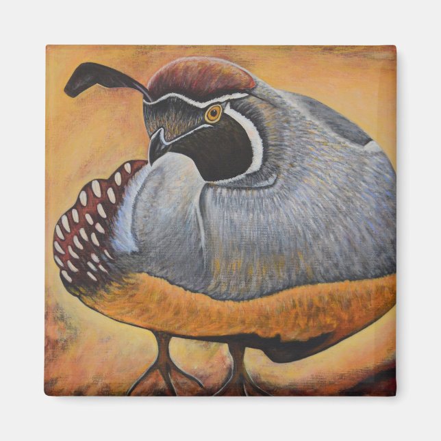 Imã Quail (Frente)