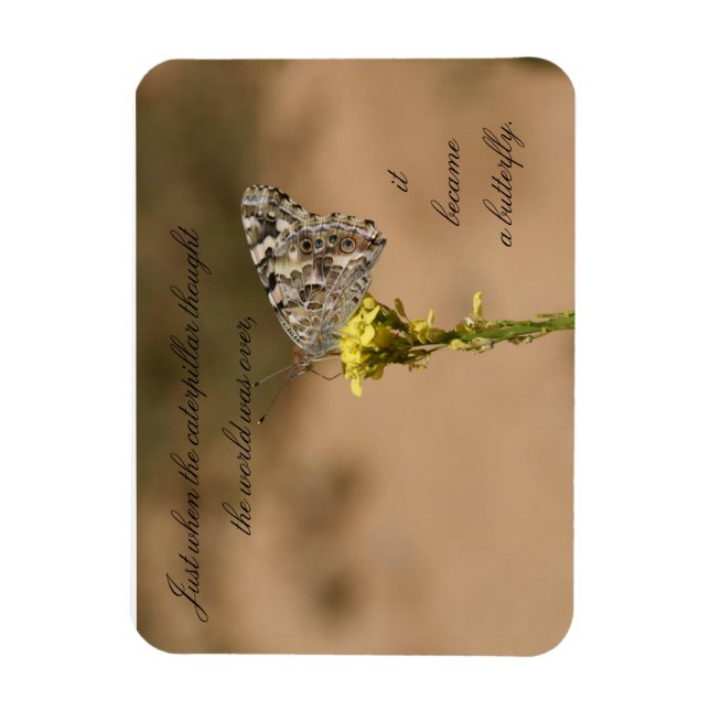 Ímã Quando a lagarta pensou no... (Vertical)