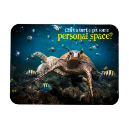 Ímã Quando a vida se torna difícil, continue nadando