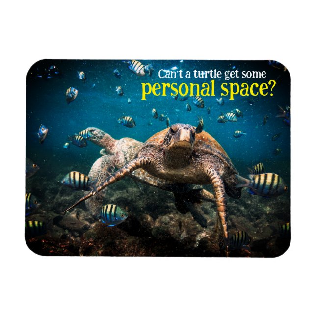 Ímã Quando a vida se torna difícil, continue nadando (Horizontal)