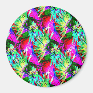 Imã Quando no Havaí...