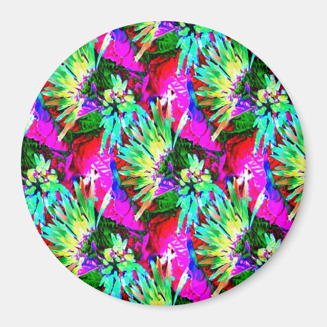 Imã Quando no Havaí... (Frente)