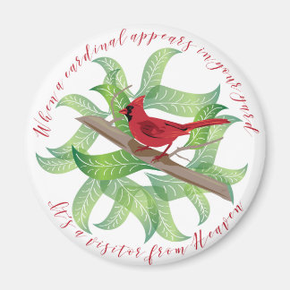 Imã Quando um cardeal aparece no seu quintal...