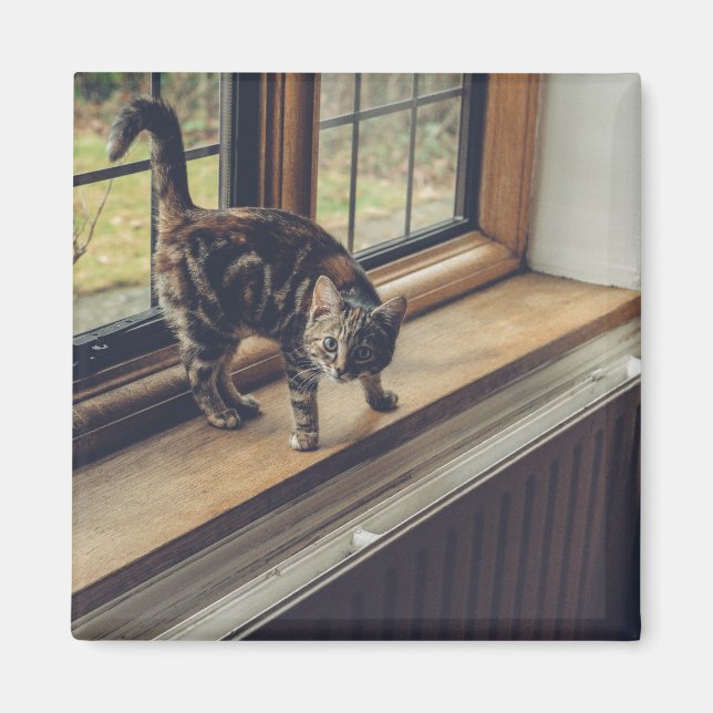 Imã Quanto é esse Gatinho na janela? (Frente)