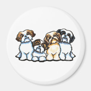 Imã Quarteto de Shih Tzu