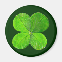 Imã Quatro Folhas De Pé O MUSEUM Zazzle Dons