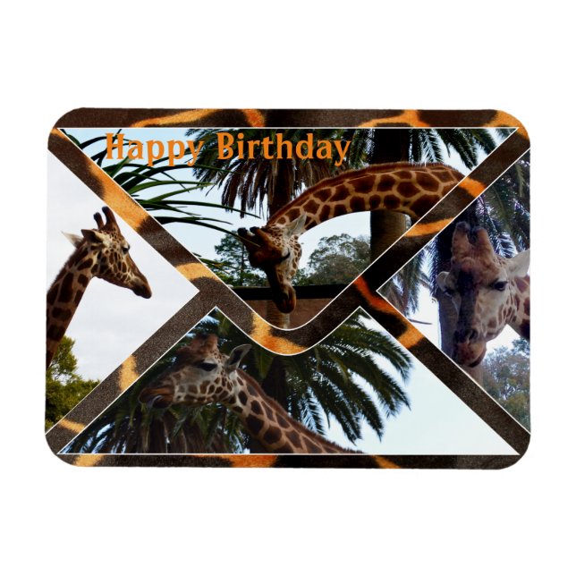 Ímã Quatro Girafas Em Um Envelope Girafa, Magnet (Horizontal)