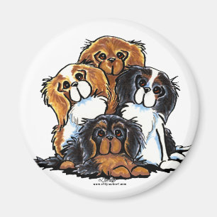 Imã Quatro Spaniels de rei Charles descuidados