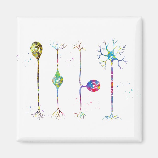 Imã Quatro tipos de neurônios (Frente)