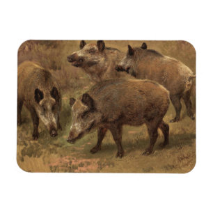 Ímã Quatro varrascos na paisagem francesa (por Rosa Bo