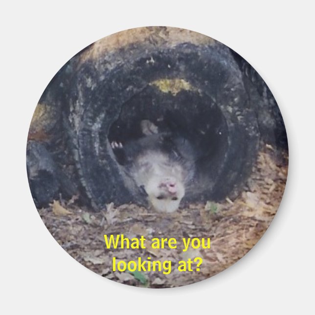 Imã Que Dia! -iman (Frente)