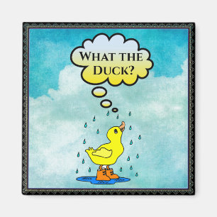 Imã Que Duck?Ímã
