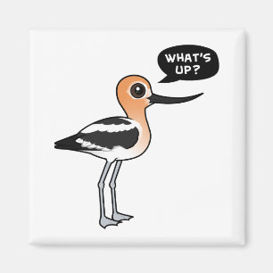 Imã Que está acima?