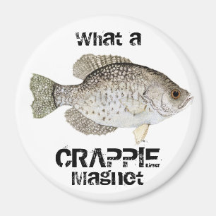 Imã Que ímã do TIPO DE PEIXE