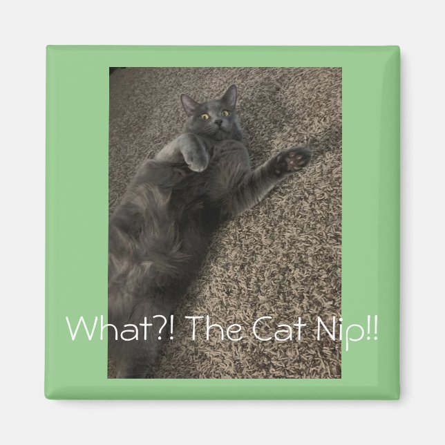 Imã "Que NIP do Gato?!" (Frente)