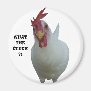 Imã Que o Cluck?!
