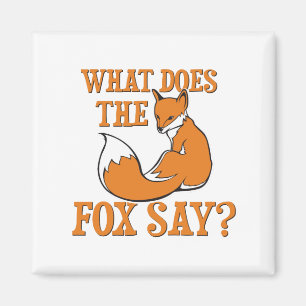 Imã Que o Fox diz?