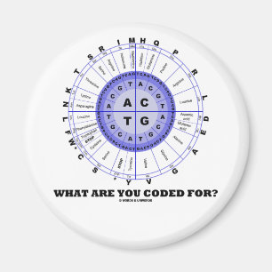Imã Que você é codificado para? (Roda do ácido