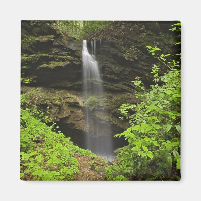 Imã Quebra d'água caindo na pia, Whiteoak Sink, (Frente)