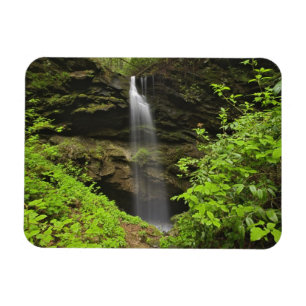 Ímã Quedas de água caindo na pia, Whiteoak Sink,