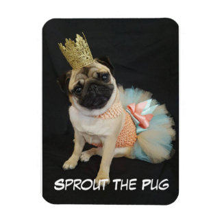 Ímã Queen Photo Magnet