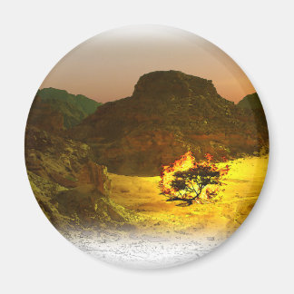 Imã Queimando Bush 1