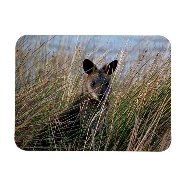 Ímã Quem és tu (Horizontal)