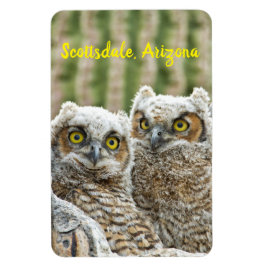 Ímã Quem está aí? Par do Scottsdale da Coruja, Arizona
