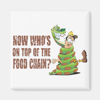 Imã Quem está no topo da cadeia de comidas?