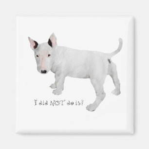 Imã Quem, eu?  Cachorrinho Bull Terrier