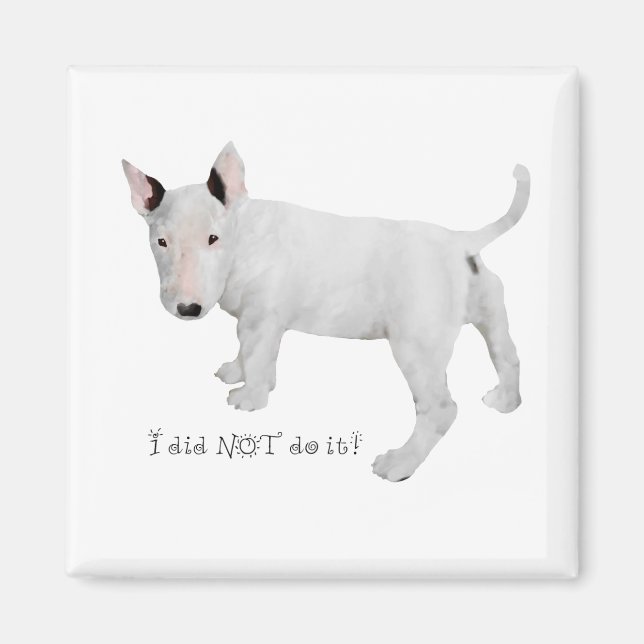 Imã Quem, eu?  Cachorrinho Bull Terrier (Frente)