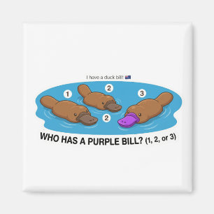Imã Quem Tem Um Bico Roxo? Lindo Platypus Austrália Br