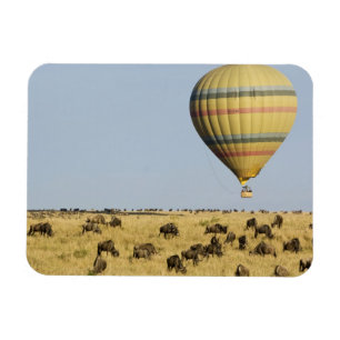 Ímã Quênia, Masai Mara. Turistas passeiam de balão de