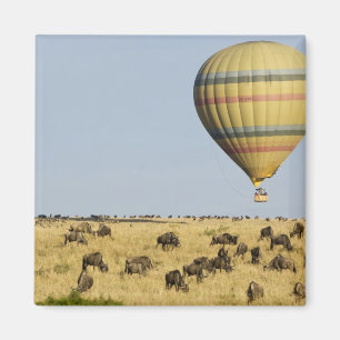 Imã Quênia, Masai Mara. Turistas passeiam de balão de