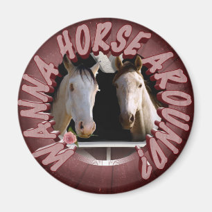Imã Quer andar a cavalo?