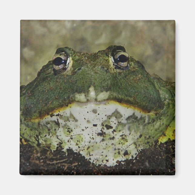 Imã quer fumar? (Frente)