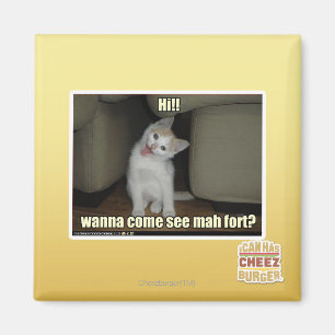 Imã Quer ir ver mah fort?