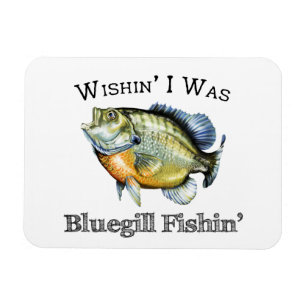 Ímã Queria que eu fosse Bluegill Fishin