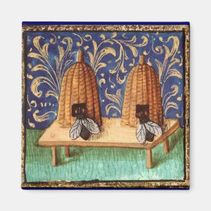 IMÃ QUERIDA, PROFESSOR