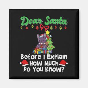 Imã Querido Papai Noel Antes de Eu Explicar Quanto Voc