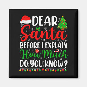 Imã Querido Papai Noel Eu Posso Explicar Camiseta Cria