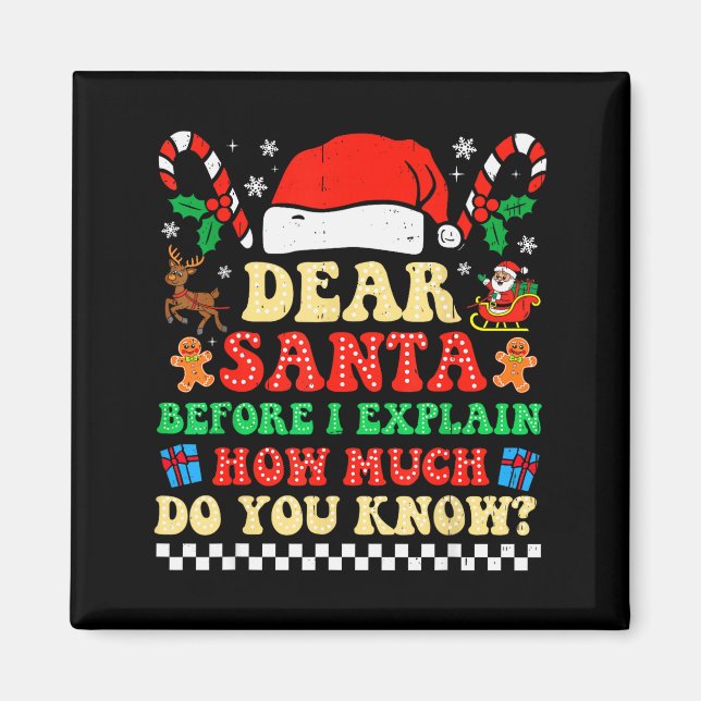 Imã Querido Papai Noel Posso Explicar Divertido Natal  (Frente)
