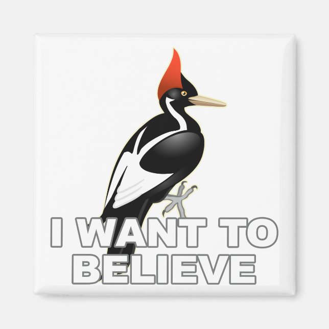 Imã Quero acreditar (Frente)