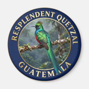Imã 🐦 Quetzal Resplandecente Guatemala Ave Exótica
