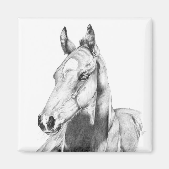 Imã Quiet Gaze (Frente)