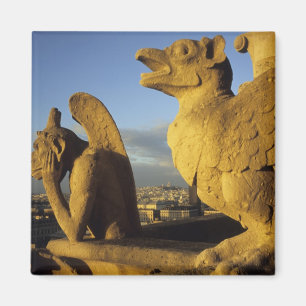Imã Quimera, Catedral de Notre Dame, Paris, França